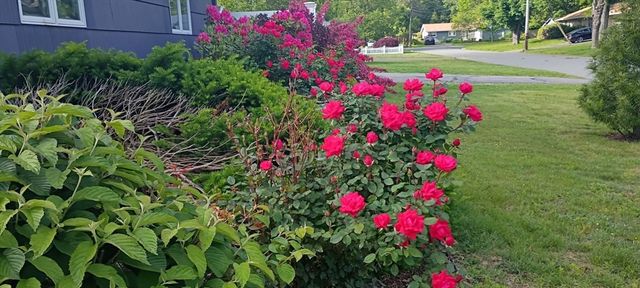 14 Ridgefield Dr, Framingham, MA 01701