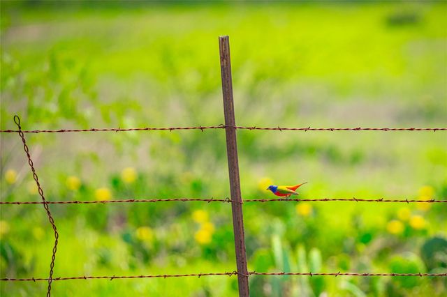 0 County Road 396, Gonzales, TX 78629