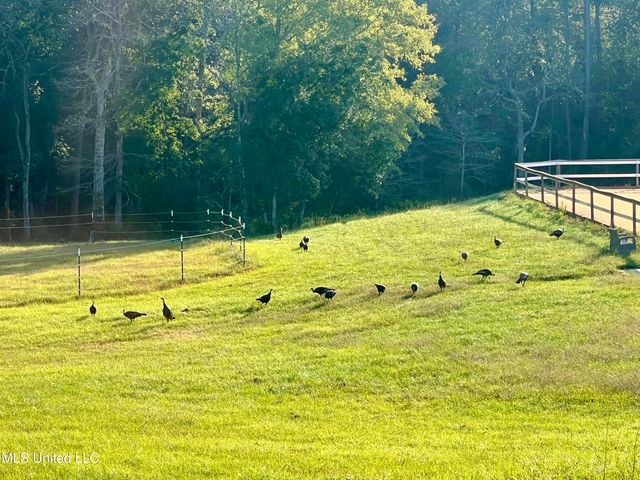 29 E Slope Drive, Carriere, MS 39426