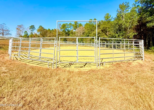 29 E Slope Drive, Carriere, MS 39426