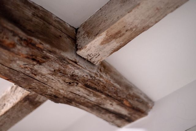 7 Mechanic Court, Marblehead, MA 01945