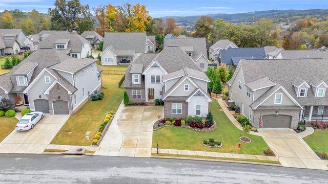 10624 Brownspring Drive, Apison, TN 37302