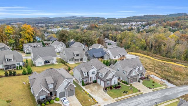 10624 Brownspring Drive, Apison, TN 37302