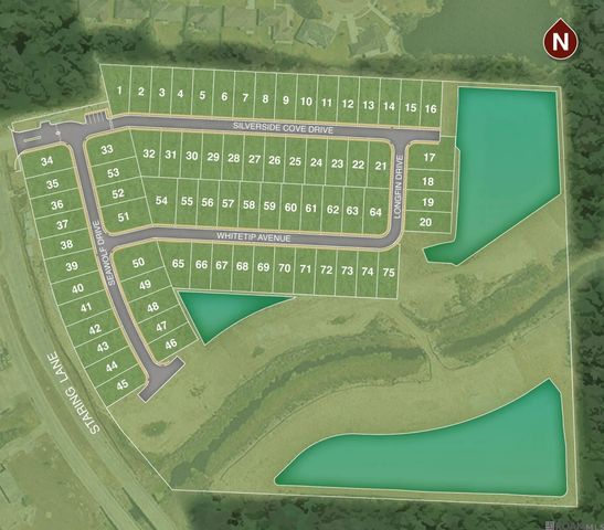 1721 Seawolf Dr, Saint George, LA 70810