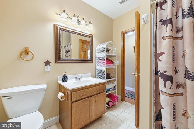 262 HOGAN DR, Basye, VA 22810