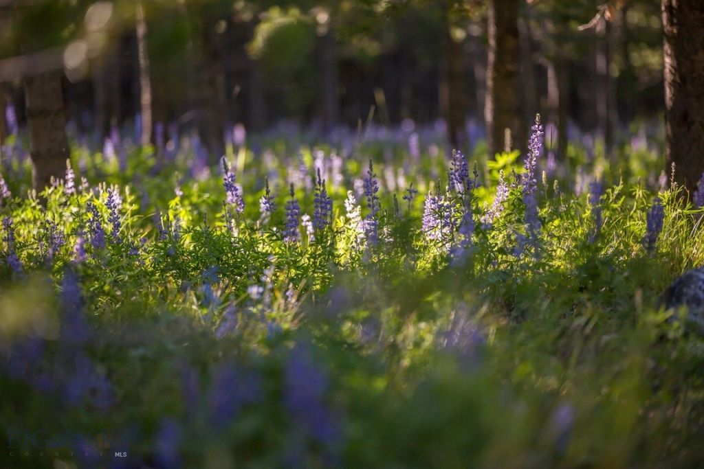 TBD Ridge Fork Road, Big Sky, MT 59716 photo 12