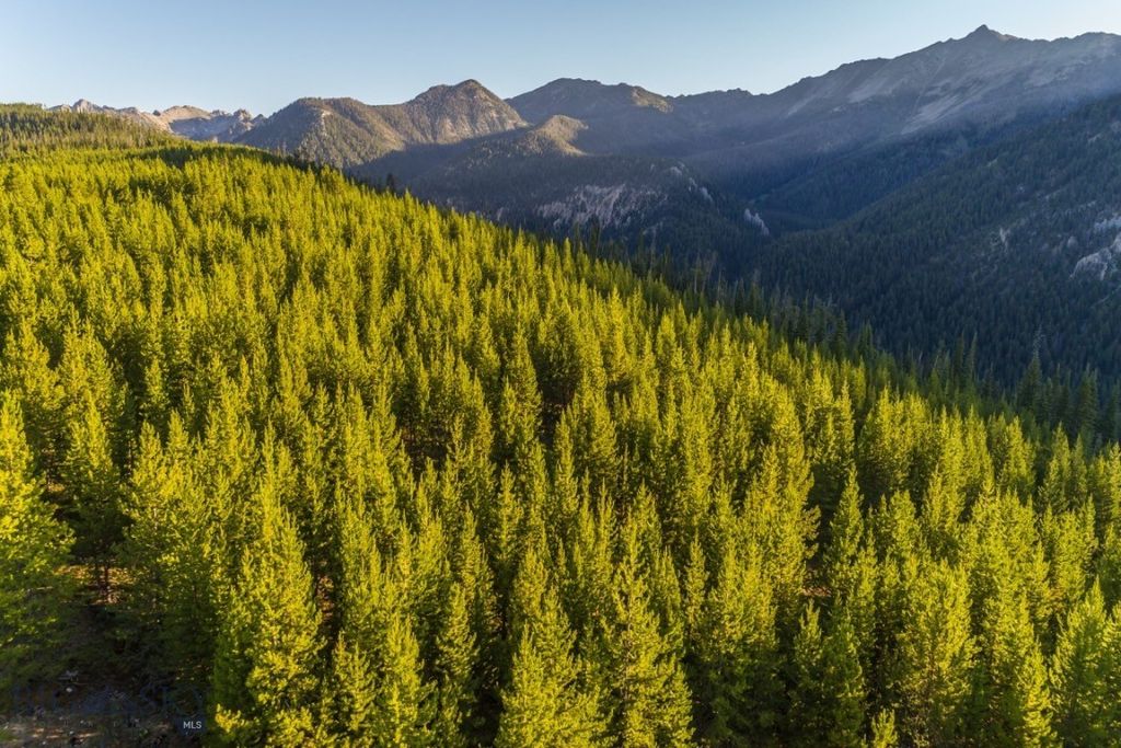 TBD Ridge Fork Road, Big Sky, MT 59716 photo 13