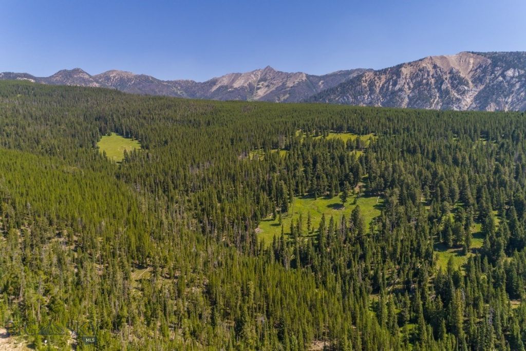 TBD Ridge Fork Road, Big Sky, MT 59716 photo 14