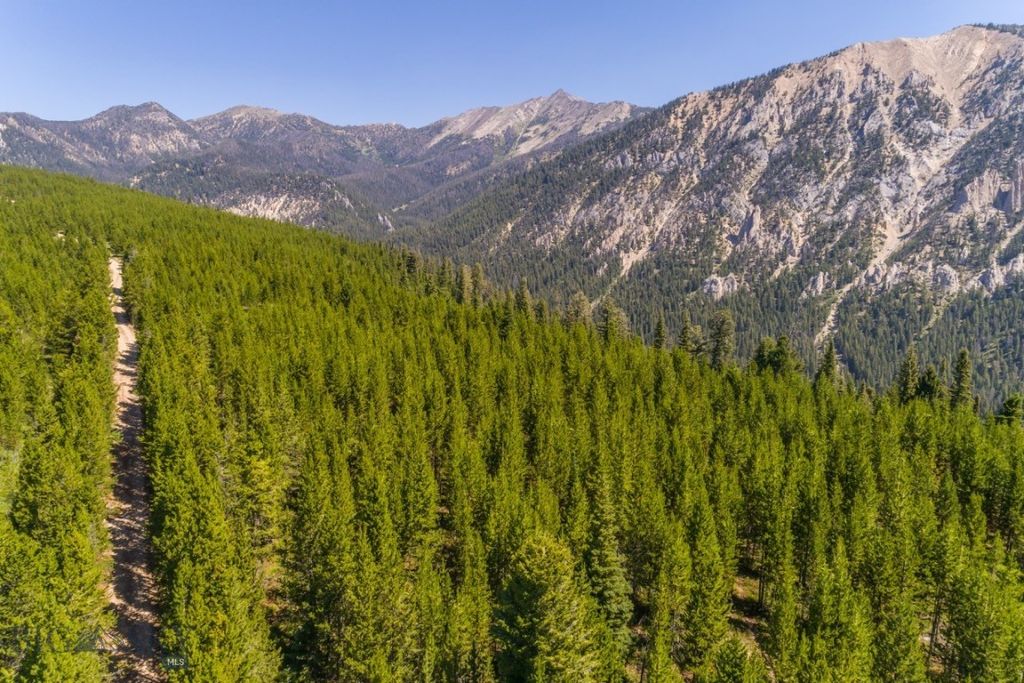 TBD Ridge Fork Road, Big Sky, MT 59716 photo 15