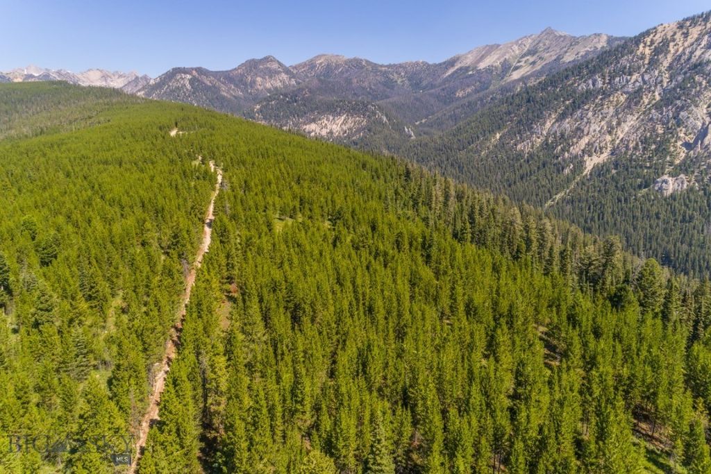 TBD Ridge Fork Road, Big Sky, MT 59716 photo 17
