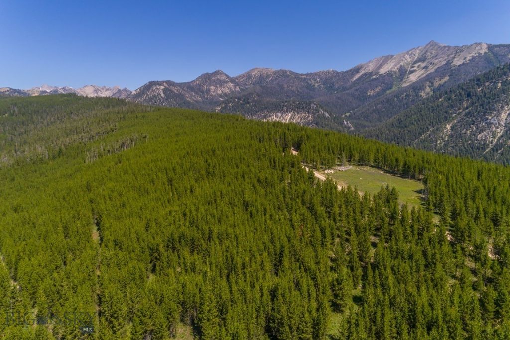TBD Ridge Fork Road, Big Sky, MT 59716 photo 19