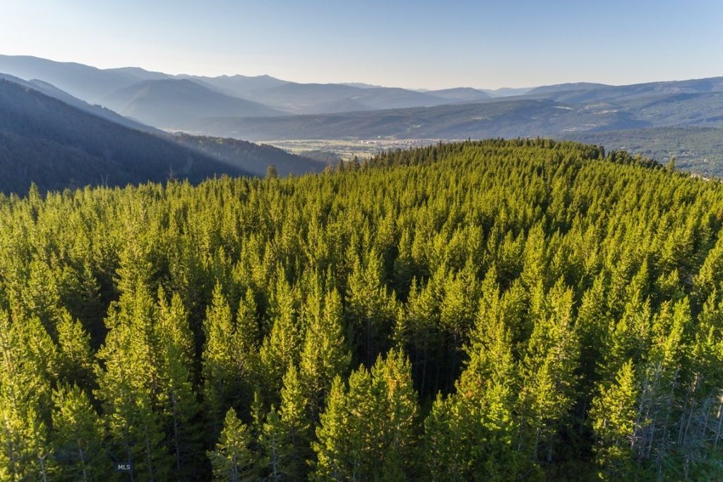 TBD Ridge Fork Road, Big Sky, MT 59716 photo 2