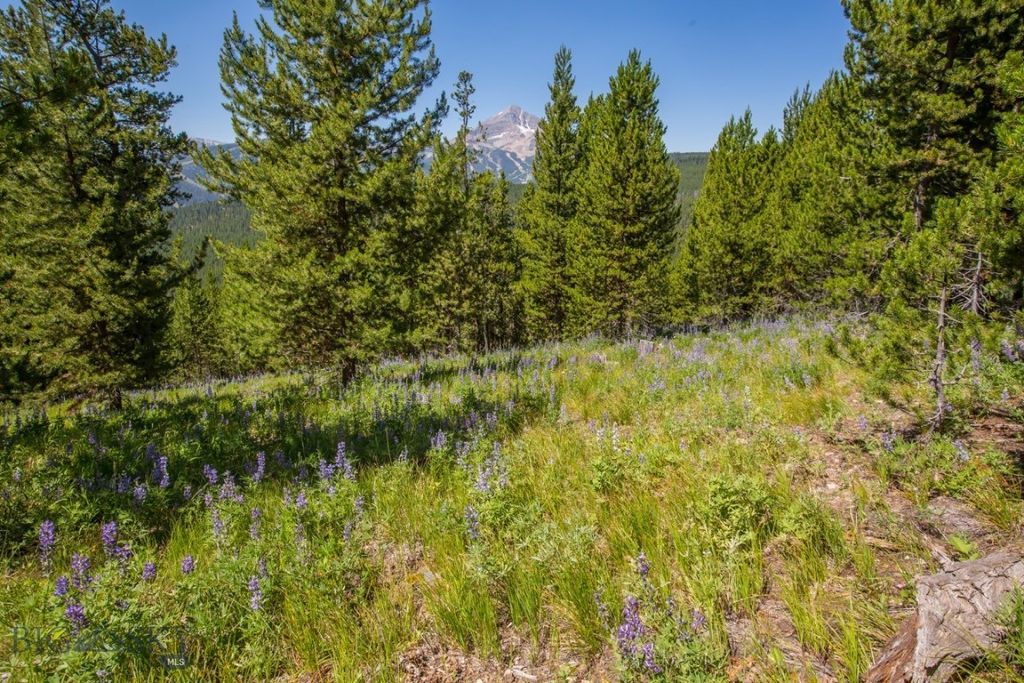 TBD Ridge Fork Road, Big Sky, MT 59716 photo 21
