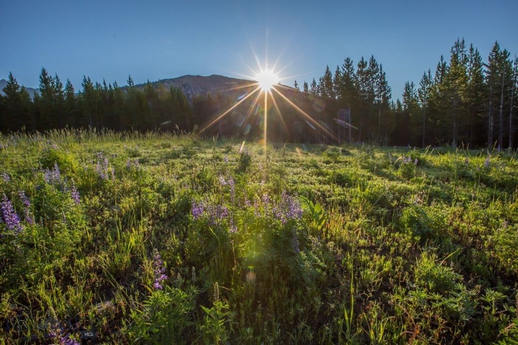 TBD Ridge Fork Road, Big Sky, MT 59716 photo 23