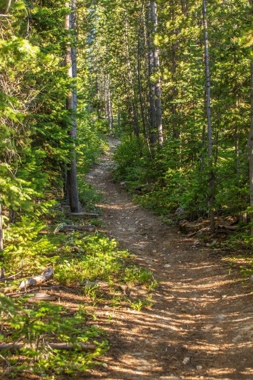 TBD Ridge Fork Road, Big Sky, MT 59716 photo 27