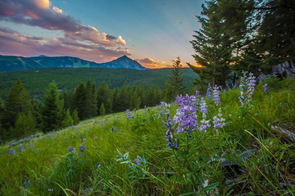 TBD Ridge Fork Road, Big Sky, MT 59716 photo 30