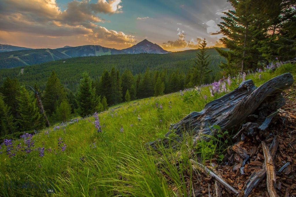 TBD Ridge Fork Road, Big Sky, MT 59716 photo 31