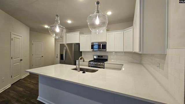 262 Sunny Hill Drive, Blythewood, SC 29016