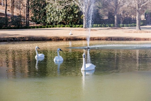 25 The Greenway, Woodstock, GA 30188