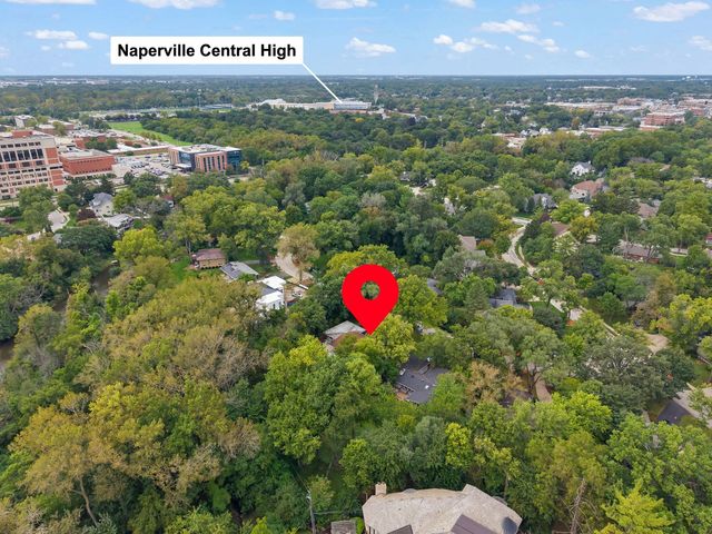 60 Golden Larch Court, Naperville, IL 60540