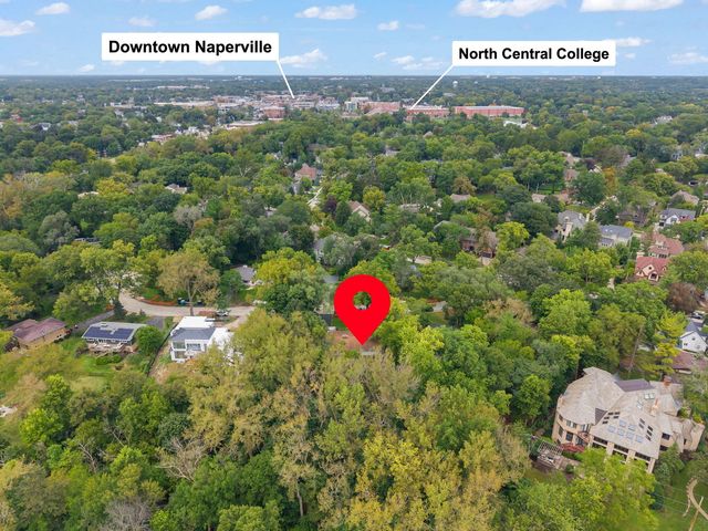 60 Golden Larch Court, Naperville, IL 60540