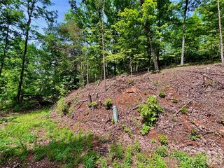 350 Springvalley Drive, Rutherfordton, NC 28139