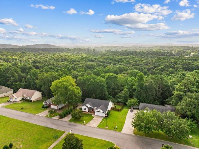 318 Eaglebend Drive, Cohutta, GA 30710