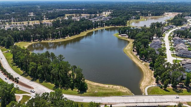 21952 Gateway Arch Drive, Porter, TX 77365