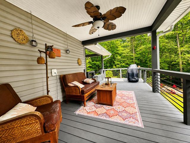 362 Pinecone, Blue Ridge, GA 30513