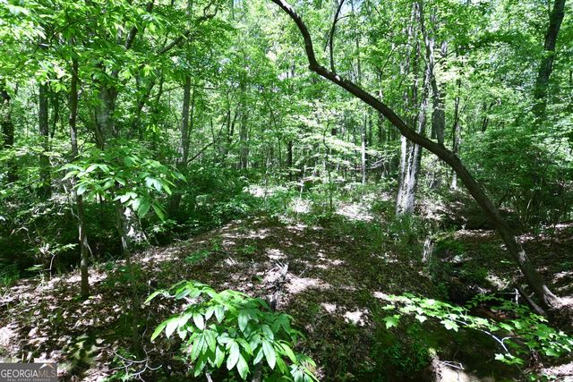 1933 Highway 101 N, Dallas, GA 30157
