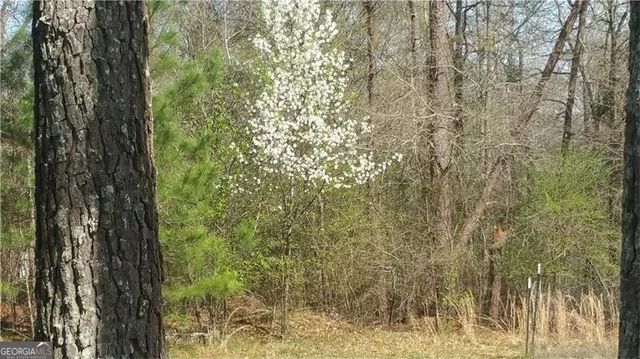 3838 McDaniel Mill Road, Conyers, GA 30094