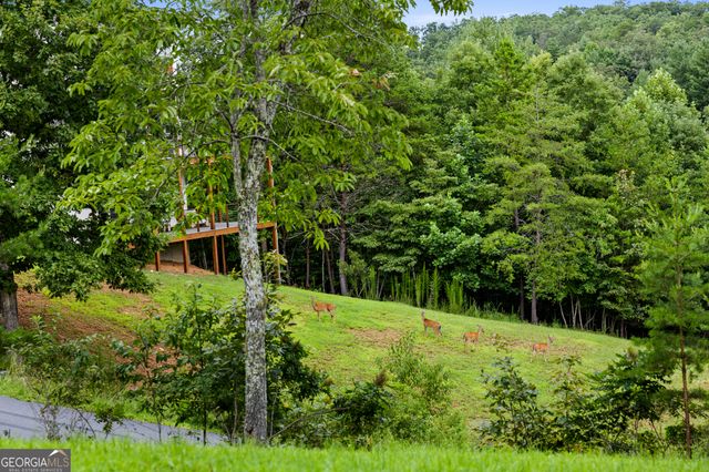 143 Brannon Ridge, Young Harris, GA 30582