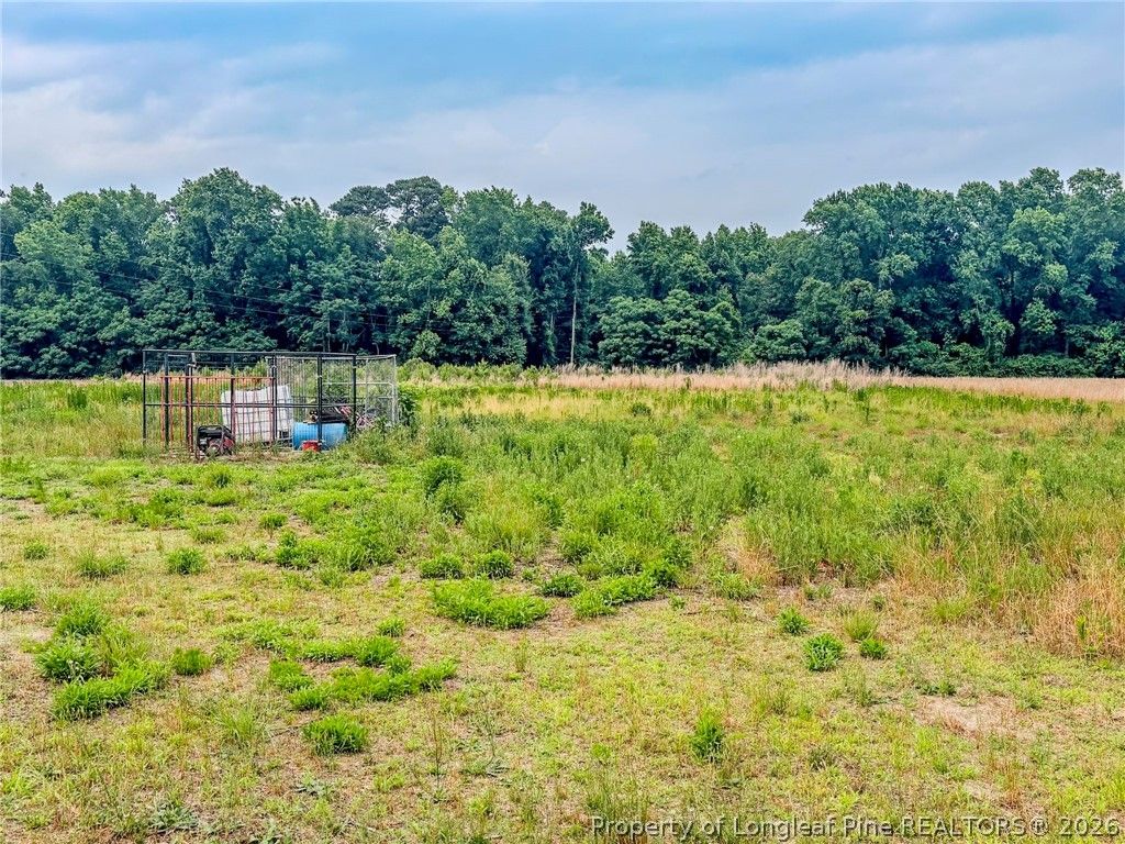 63 Newton Road, Red Springs, NC 28377 — photo 12