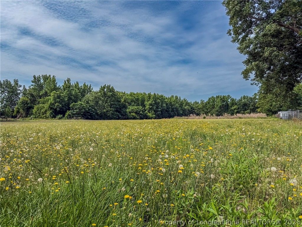 63 Newton Road, Red Springs, NC 28377 — photo 2
