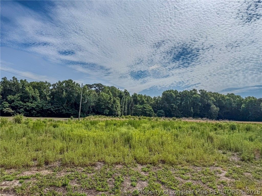 63 Newton Road, Red Springs, NC 28377 — photo 3