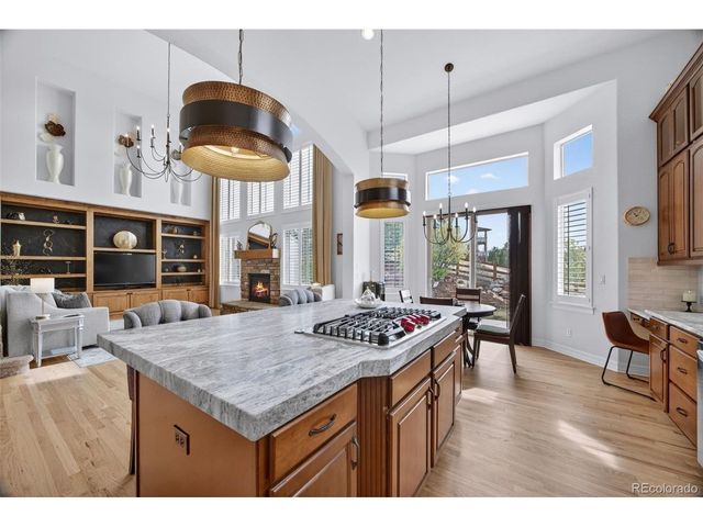 19950 E Shady Ridge Rd, Parker, CO 80134