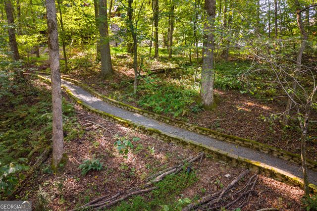 284 Major Ridge Road, Blue Ridge, GA 30513