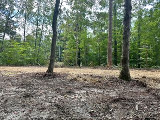 Lot 3 Highway 70s, Rogersville, TN 37857