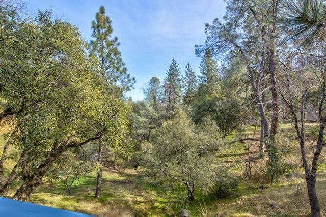 5633 Silver Saddle Dr, Hathaway Pines, CA 95233