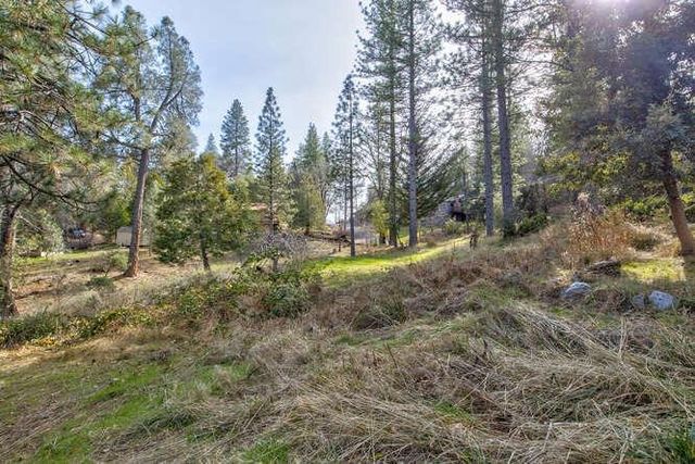 5633 Silver Saddle Dr, Hathaway Pines, CA 95233