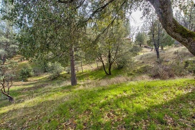 5633 Silver Saddle Dr, Hathaway Pines, CA 95233