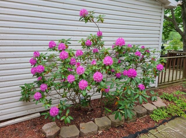 2427 Courtney Drive, Harrison, MI 48625