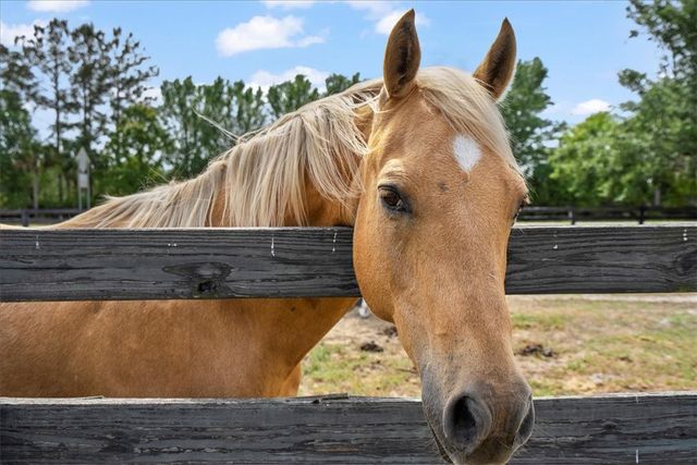 1330 SR 110 Highway E, Waynesville, GA 31566