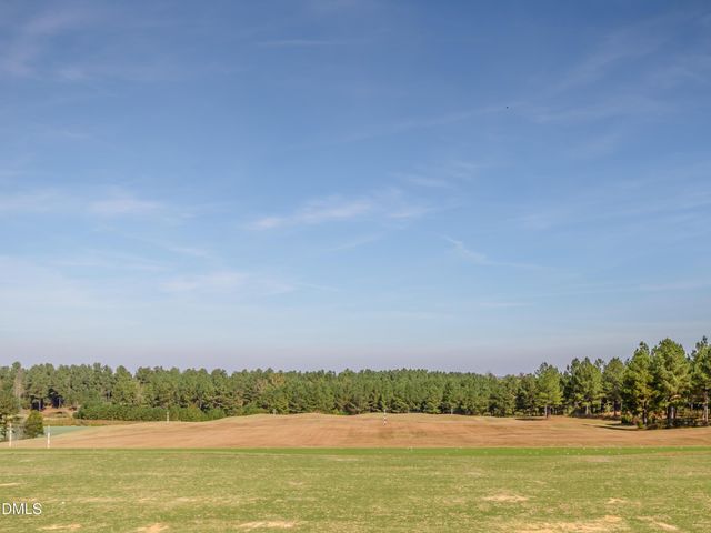 36 Rosefield Court, Pittsboro, NC 27312