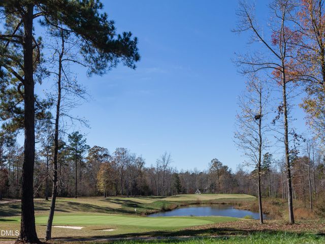 36 Rosefield Court, Pittsboro, NC 27312