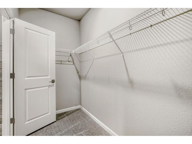648 Noola St, Windsor, CO 80550