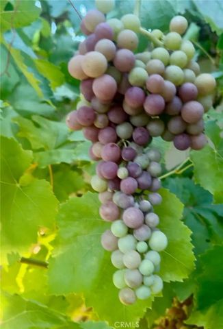 879 Derby, Corona, CA 92882