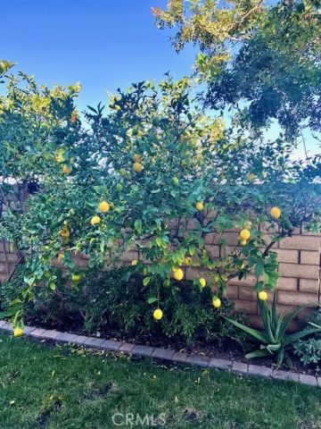 879 Derby, Corona, CA 92882