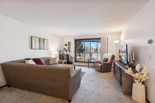 4710 58th Avenue N 201, Crystal, MN 55429