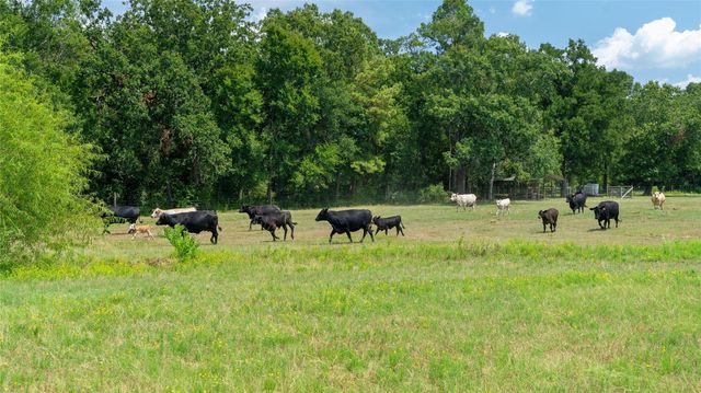 41115 Community Road, Magnolia, TX 77354